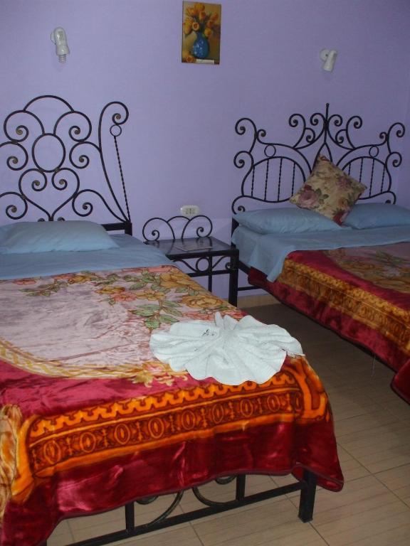 Bella Luna Hostel Каир Номер фото