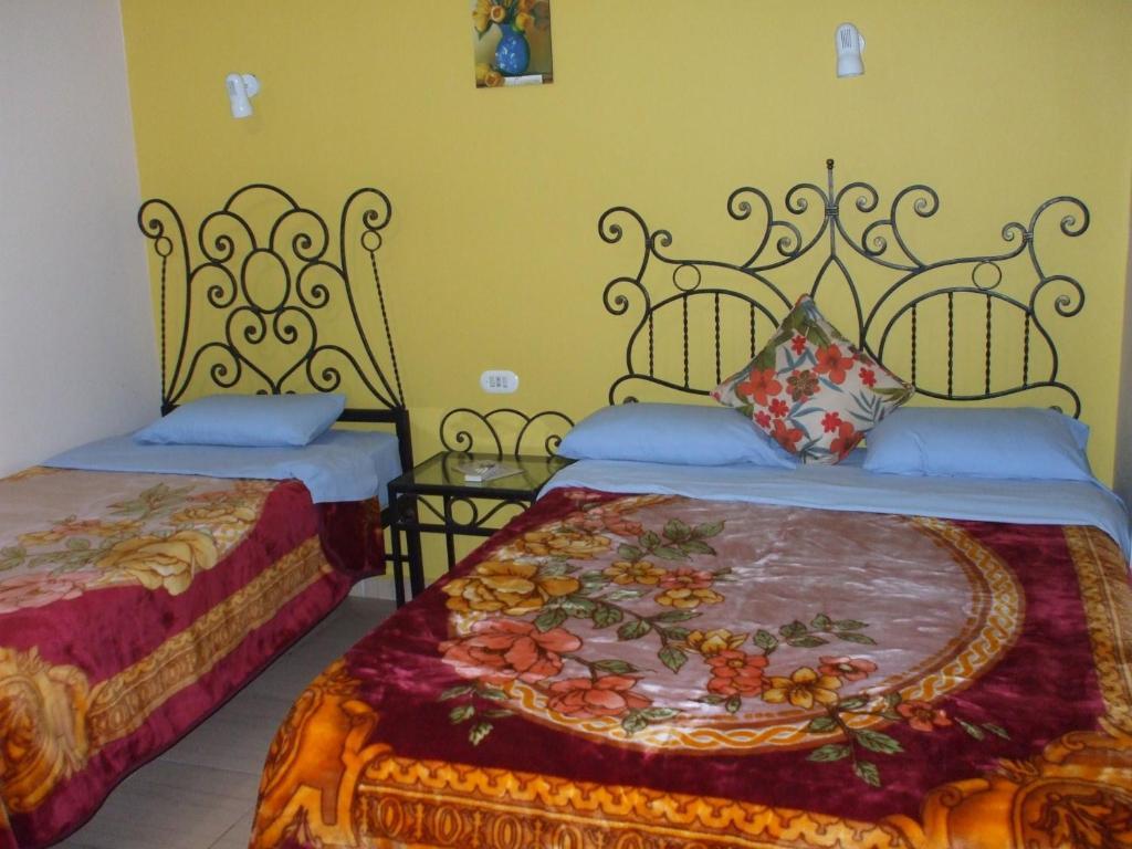 Bella Luna Hostel Каир Номер фото